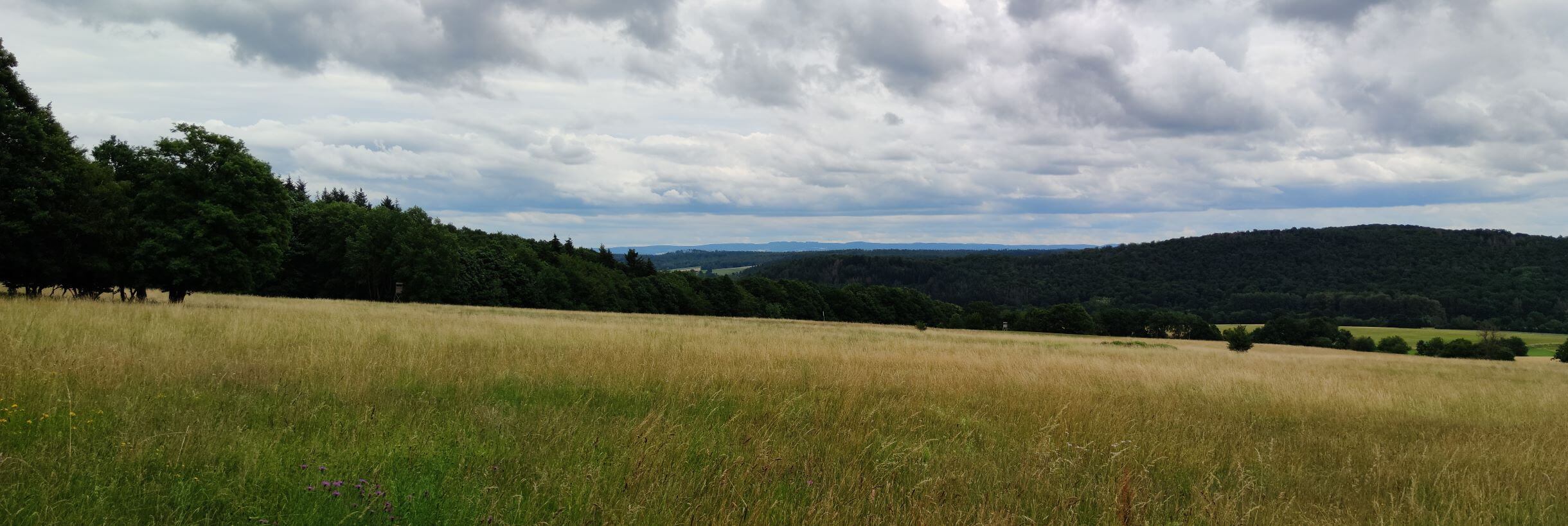 Blick vom Kellerwald